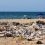 A Tripoli, un littoral de déchets borde une mer insalubre